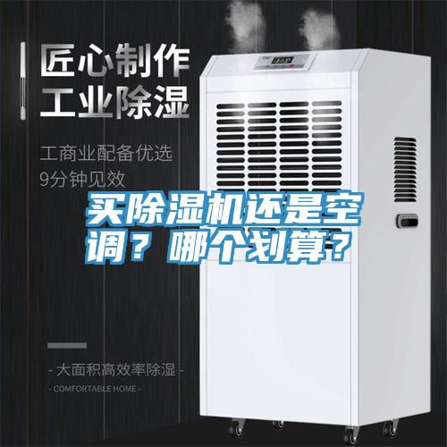 买除湿机还是空调？哪个划算？