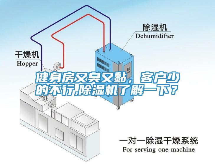 健身房又臭又黏，客户少的不行,除湿机了解一下？