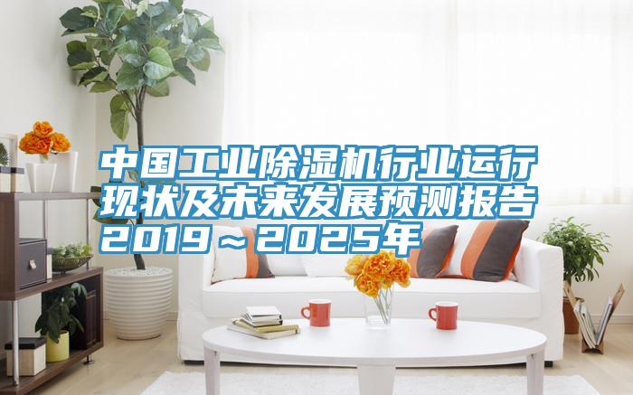 中国工业除湿机行业运行现状及未来发展预测报告2019～2025年