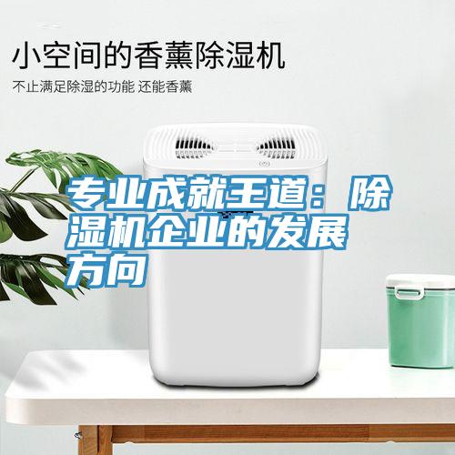 专业成就王道：除湿机企业的发展方向