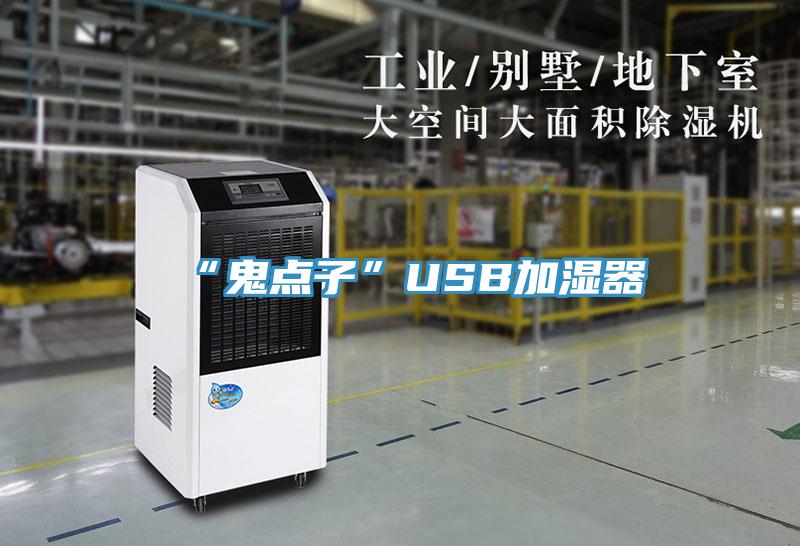 “鬼点子”USB加湿器