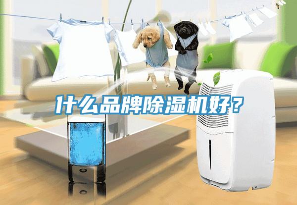 什么品牌除湿机好？