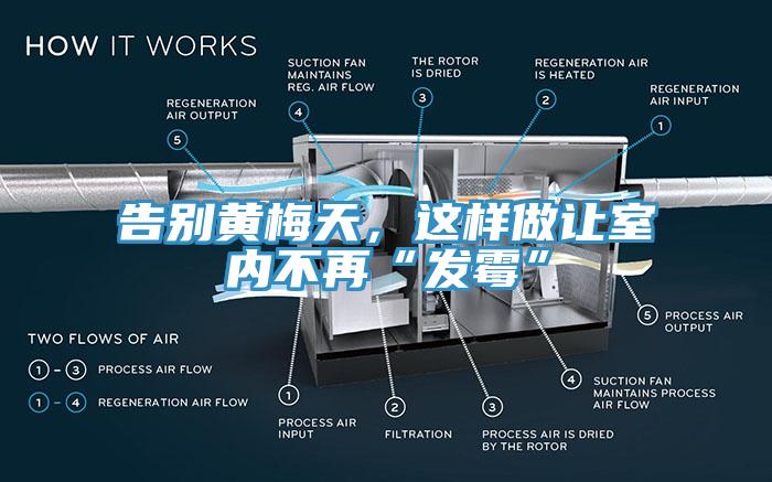 告别黄梅天，这样做让室内不再“发霉”