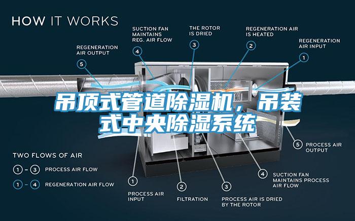 吊顶式管道除湿机，吊装式中央除湿系统