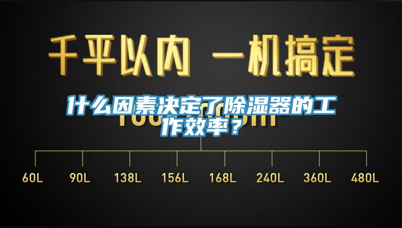 什么因素决定了除湿器的工作效率？