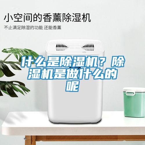 什么是除湿机？除湿机是做什么的呢