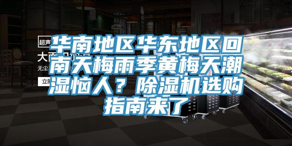 华南地区华东地区回南天梅雨季黄梅天潮湿恼人？除湿机选购指南来了