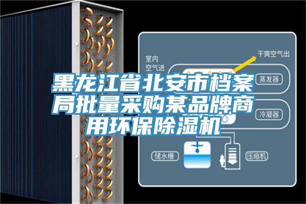 黑龙江省北安市档案局批量采购某品牌商用环保除湿机