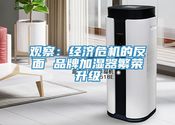 观察：经济危机的反面 品牌加湿器繁荣升级