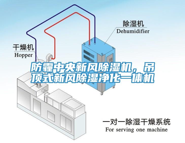 防霾中央新风除湿机，吊顶式新风除湿净化一体机