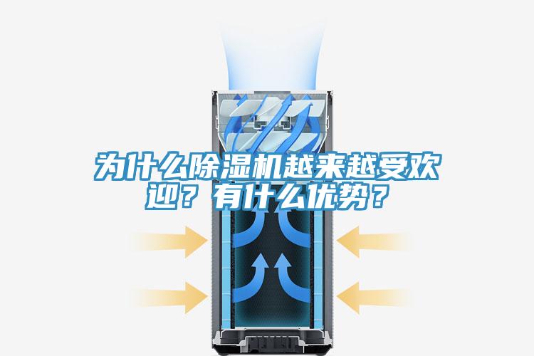 为什么除湿机越来越受欢迎？有什么优势？