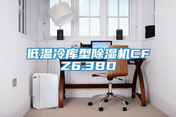 低温冷库型除湿机CFZ6.3BD