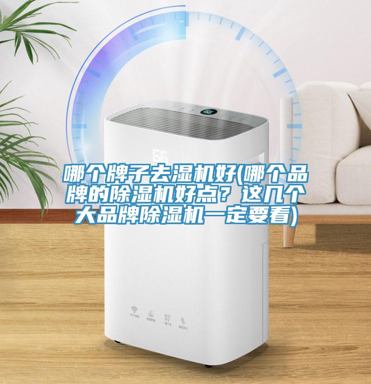 哪个牌子去湿机好(哪个品牌的除湿机好点？这几个大品牌除湿机一定要看)