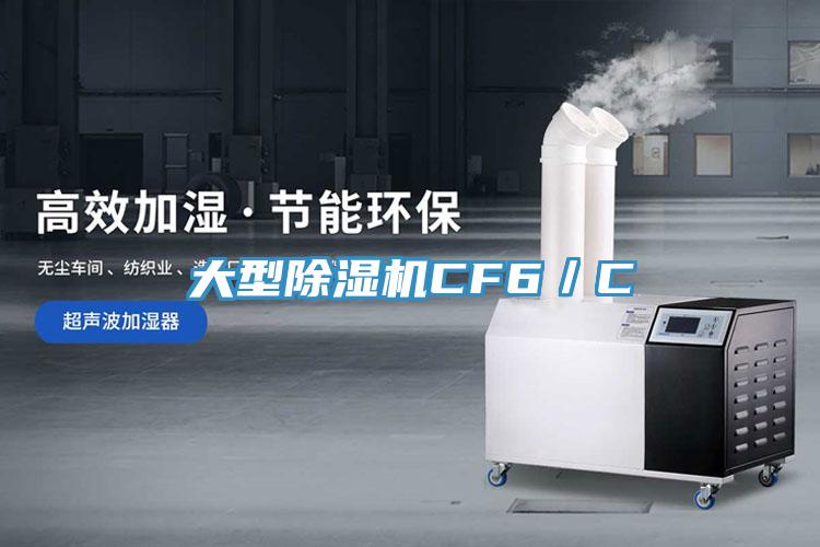 大型除湿机CF6／C