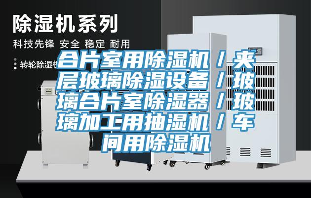 合片室用除湿机／夹层玻璃除湿设备／玻璃合片室除湿器／玻璃加工用抽湿机／车间用除湿机