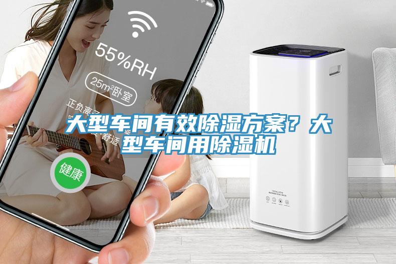 大型车间有效除湿方案？大型车间用除湿机