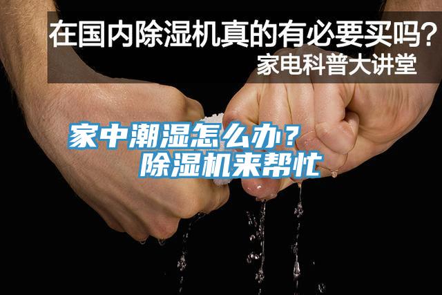 家中潮湿怎么办？    除湿机来帮忙