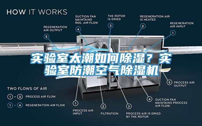 实验室太潮如何除湿？实验室防潮空气除湿机