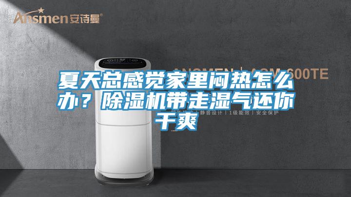 夏天总感觉家里闷热怎么办？除湿机带走湿气还你干爽