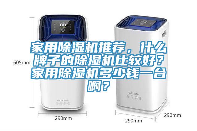 家用除湿机推荐，什么牌子的除湿机比较好？家用除湿机多少钱一台啊？