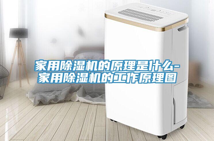 家用除湿机的原理是什么-家用除湿机的工作原理图