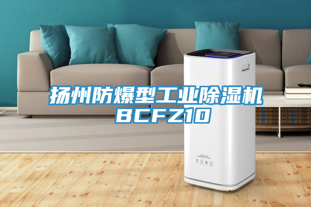 扬州防爆型工业除湿机 BCFZ10