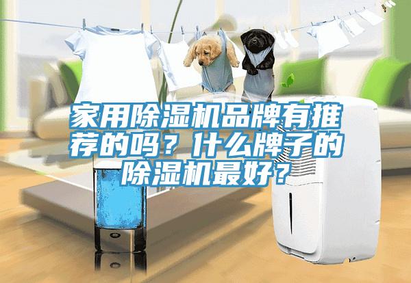 家用除湿机品牌有推荐的吗？什么牌子的除湿机最好？