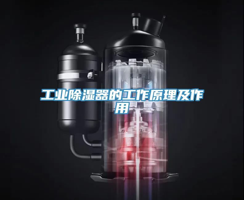 工业除湿器的工作原理及作用