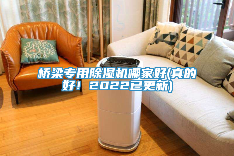 桥梁专用除湿机哪家好(真的好！2022已更新)