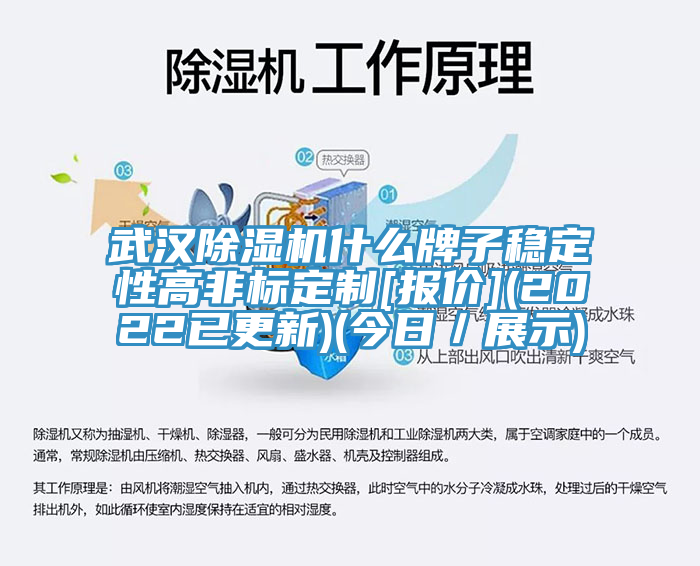 武汉除湿机什么牌子稳定性高非标定制[报价](2022已更新)(今日／展示)