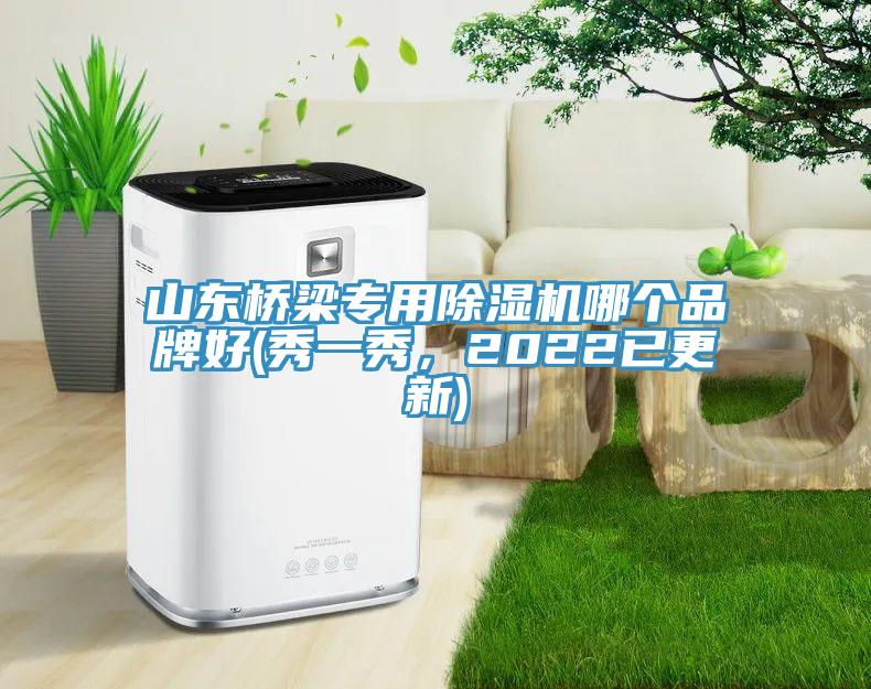 山东桥梁专用除湿机哪个品牌好(秀一秀，2022已更新)