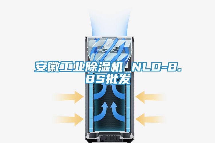 安徽工业除湿机 NLD-8.8S批发