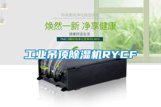 工业吊顶除湿机RYCF