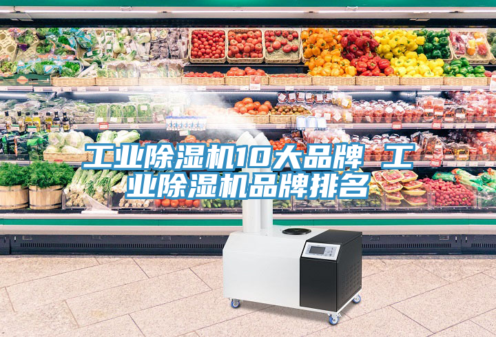 工业除湿机10大品牌 工业除湿机品牌排名