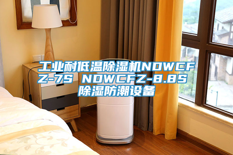 工业耐低温除湿机NDWCFZ-7S NDWCFZ-8.8S 除湿防潮设备