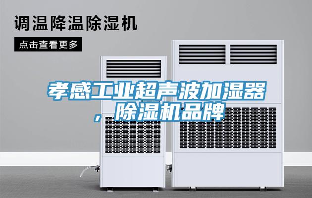 孝感工业超声波加湿器，除湿机品牌