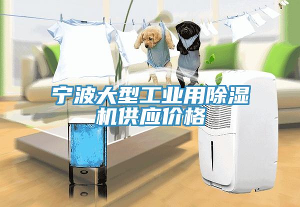 宁波大型工业用除湿机供应价格