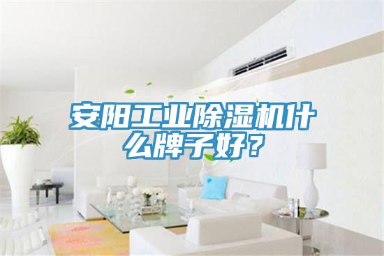 安阳工业除湿机什么牌子好？