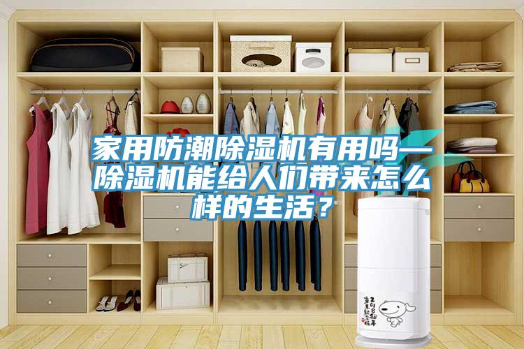 家用防潮除湿机有用吗—除湿机能给人们带来怎么样的生活？