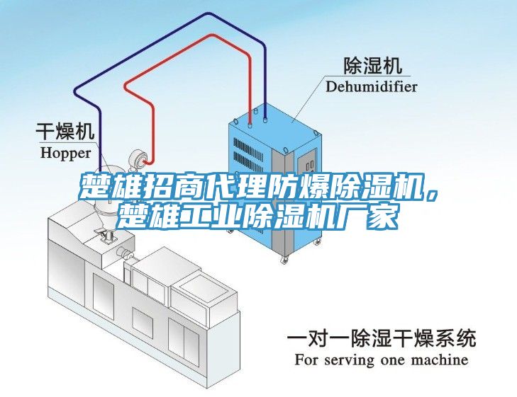 楚雄招商代理防爆除湿机，楚雄工业除湿机厂家