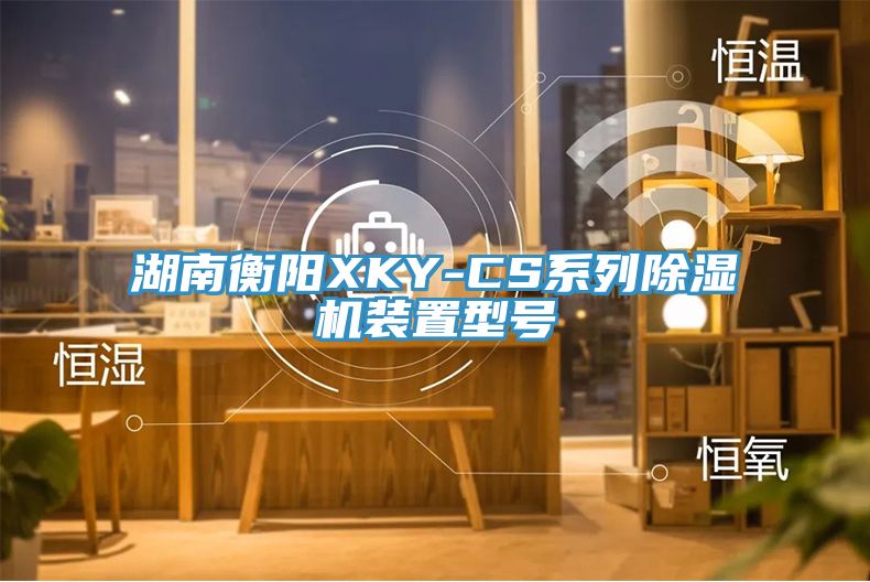 湖南衡阳XKY-CS系列除湿机装置型号