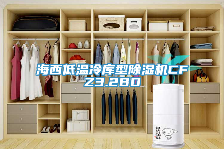 海西低温冷库型除湿机CFZ3.2BD