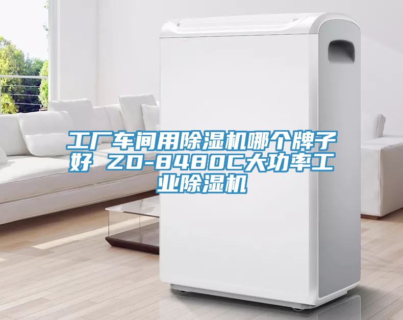 工厂车间用除湿机哪个牌子好 ZD-8480C大功率工业除湿机