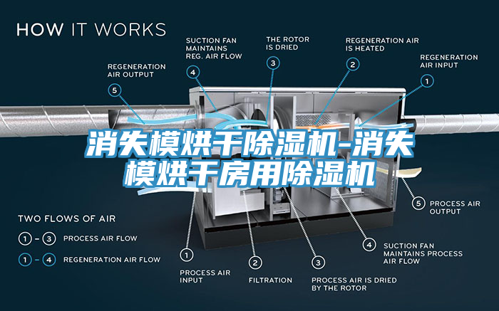 消失模烘干除湿机-消失模烘干房用除湿机