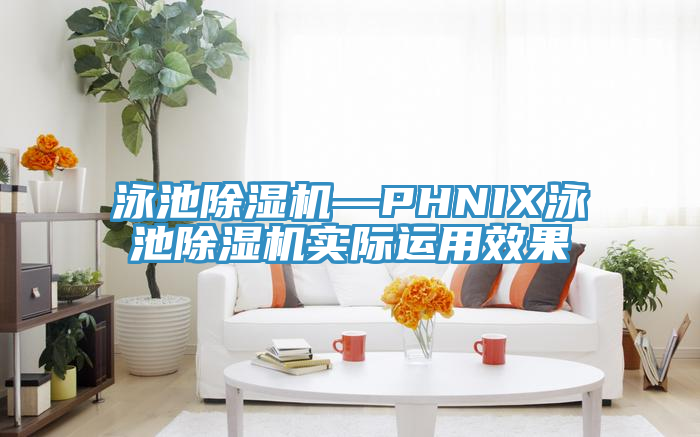 泳池除湿机—PHNIX泳池除湿机实际运用效果