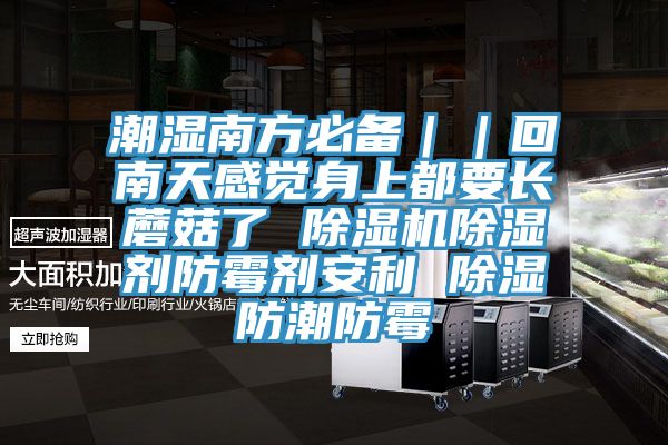 潮湿南方必备｜｜回南天感觉身上都要长蘑菇了 除湿机除湿剂防霉剂安利 除湿防潮防霉