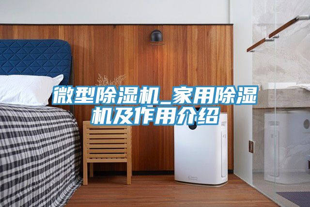 微型除湿机_家用除湿机及作用介绍