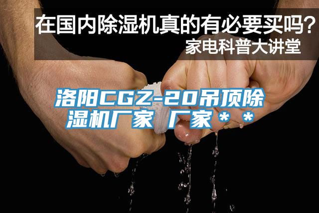 洛阳CGZ-20吊顶除湿机厂家 厂家＊＊