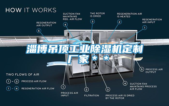 淄博吊顶工业除湿机定制 厂家＊＊