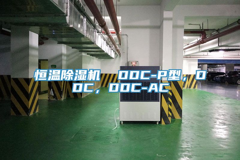 恒温除湿机  DDC-P型，DDC，DDC-AC